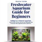 Fish Aquarium Care Guide Kindle Edition by GL Digital Publishing-0