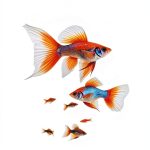 Fish & Aquarium Care Guide Kindle Edition by AquaExpert 106‑Page eBook-0