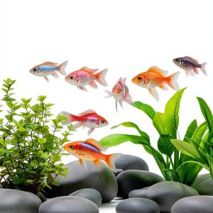 Amazon Kindle Store Best Seller: Fish & Aquarium Care Guide for Kids-0