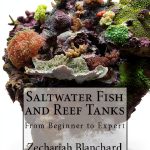 Fish Aquarium Care Second Edition by Zechariah Blanchard Kindle Book-0