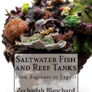 Fish Aquarium Care Second Edition by Zechariah Blanchard Kindle Book-0