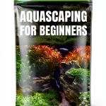 Fish Care Guide Kindle Edition by AquaExpert 46‑Page eBook for Teens-0