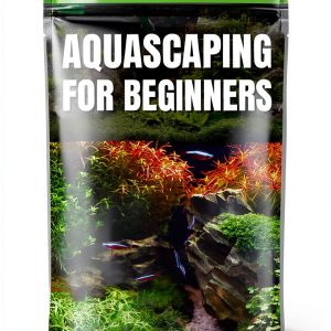 Fish Care Guide Kindle Edition by AquaExpert 46‑Page eBook for Teens-0