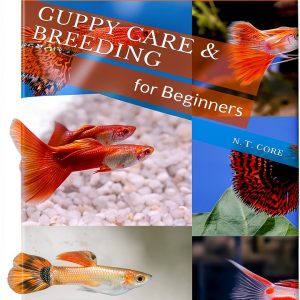 Fish Aquarium Care Guide by Createspace-0