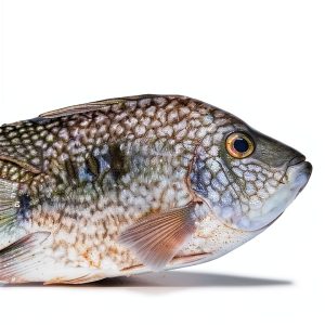Amazon Best Seller Fish & Aquarium Care Guide for Beginners-0